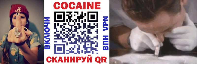 Купить закладки  Отрадная  COCAIN VHQ 