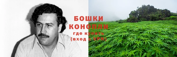 spice Нязепетровск