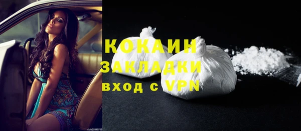 шишки Нягань