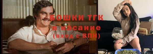 spice Нязепетровск