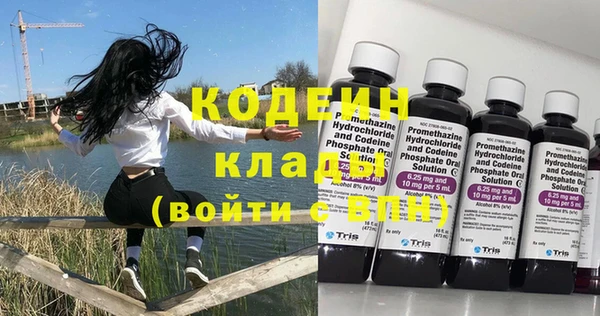 шишки Нягань