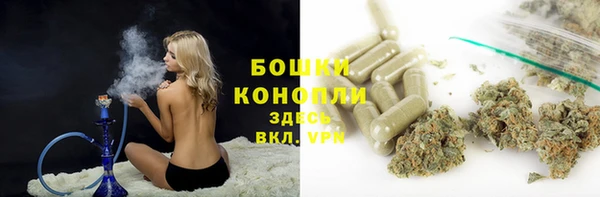 шишки Нягань