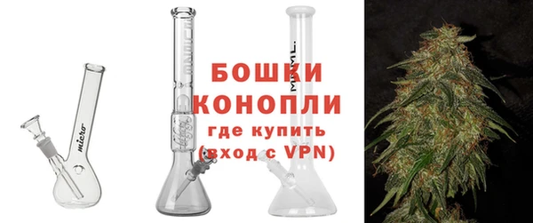 шишки Нягань