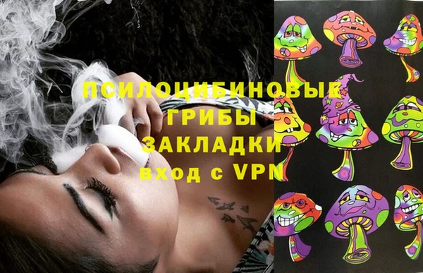 шишки Нягань