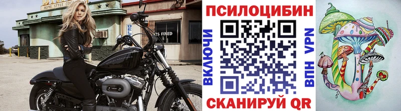 Галлюциногенные грибы Psilocybe Отрадная